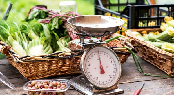 image of a scale for farmer's market on a table along with various produce from farms