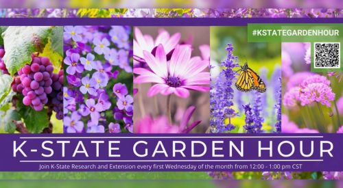 k-state garden hour header with various flowers a hashtag and a qr code