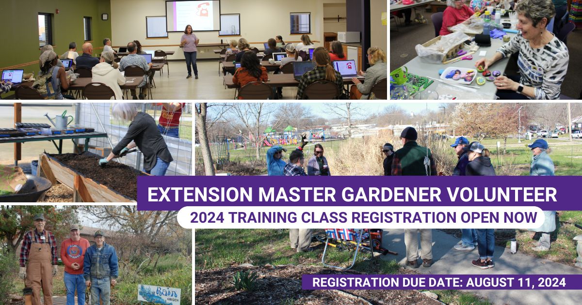 May be an image of 14 people and text that says '6 EXTENSION MASTER GARDENER VOLUNTEER 2024 TRAINING CLASS REGISTRATION OPEN NOW Baл OPИH REGISTRATION DUE DATE: AUGUST 11, 2024 H'