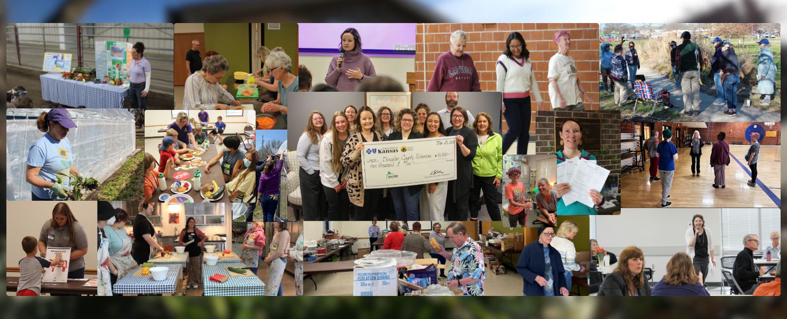 collage of all of Douglas County Kansas program areas in action